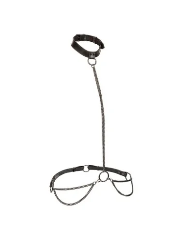 CALEXOTICS - EUPHORIA CHAIN HALTER COLLAR & LEASH PLUS SIZE