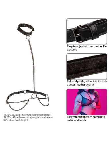 CALEXOTICS - EUPHORIA CHAIN HALTER COLLAR & LEASH PLUS SIZE