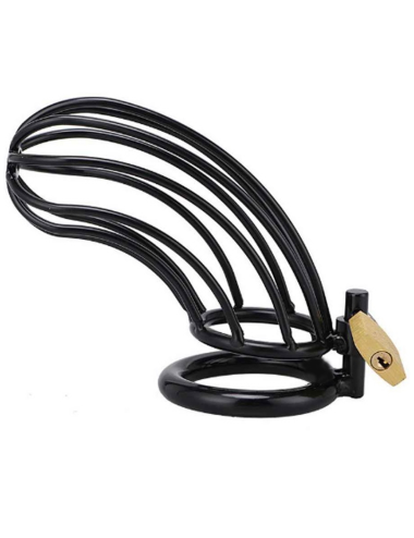 METAL HARD - BLACK BIRD CHASTITY RING CAGE