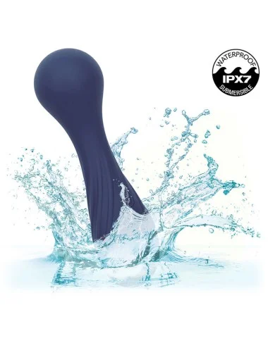 CALEXOTICS - CHARISMA TEMPTATION MASSAGER 12 FUNCTIONS PURPLE