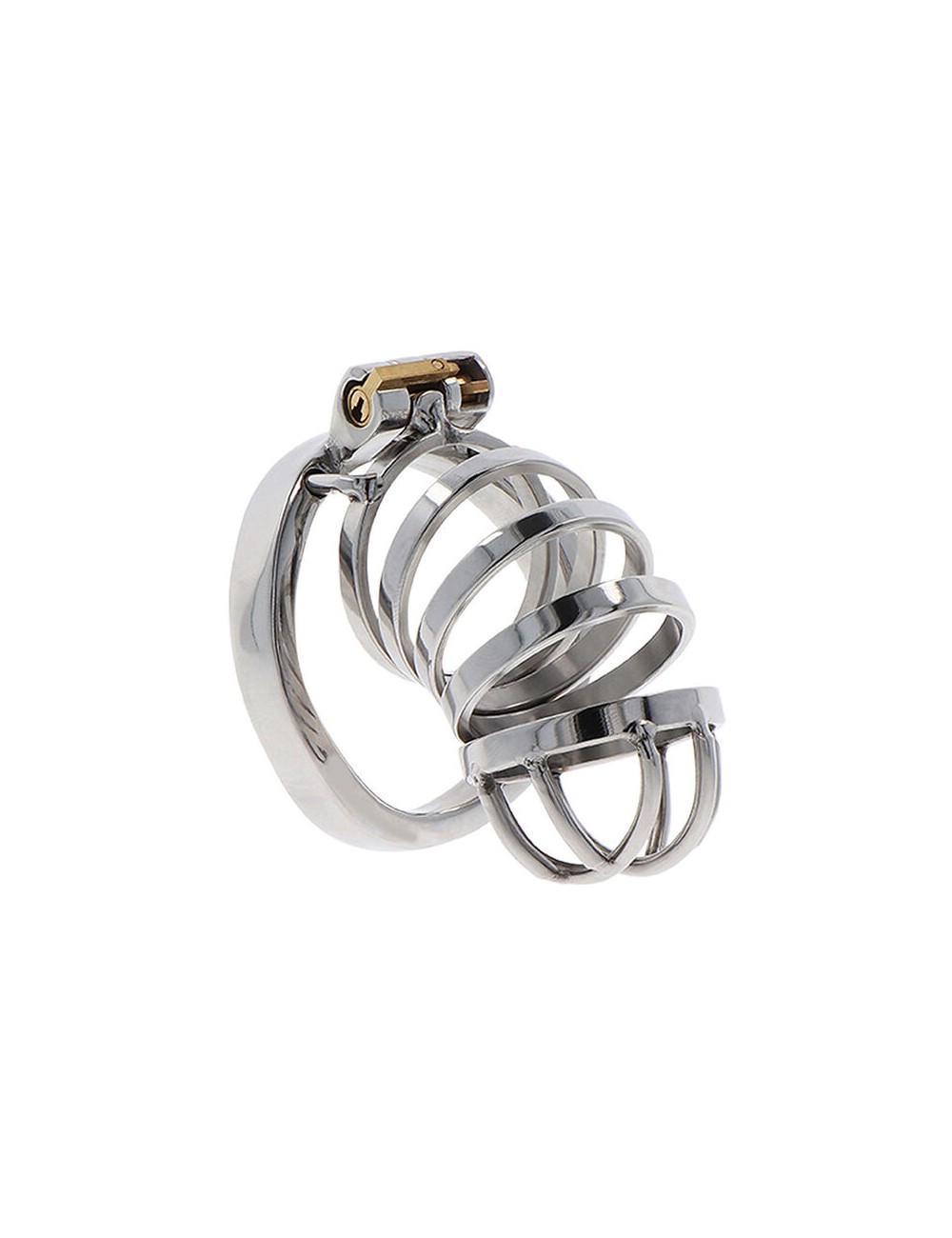 HIDDEN DESIRE - EXTREME CHASTITY COCK CAGE METAL