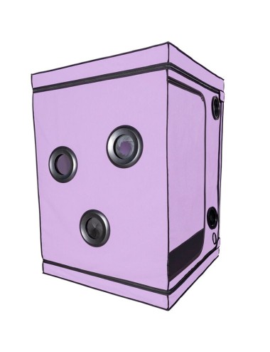 SECRET DOME - KINK CLUB CABIN SCANDALE PURPLE