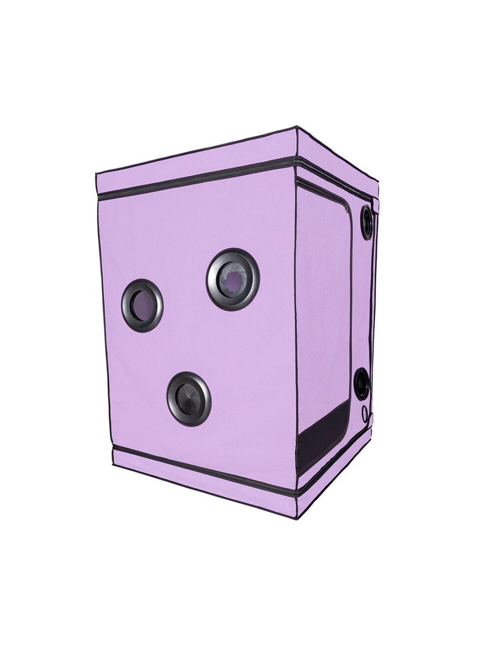 SECRET DOME - KINK CLUB CABIN SCANDALE PURPLE