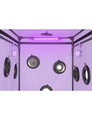 SECRET DOME - KINK CLUB CABIN SCANDALE PURPLE