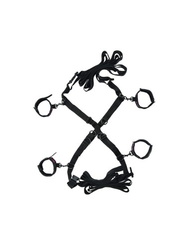 CALEXOTICS - SCANDAL SET OF CROSS BED TIES