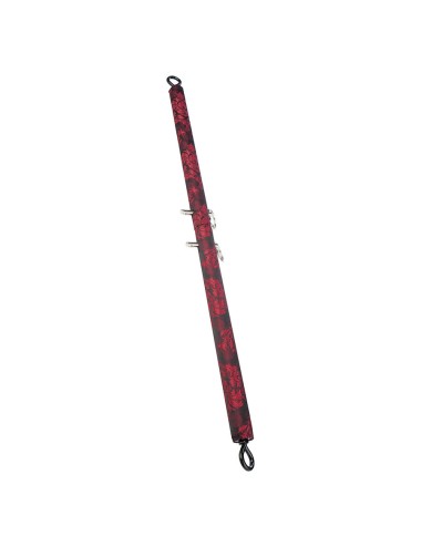 CALEXOTICS - SCANDAL BLACK SPACE BAR