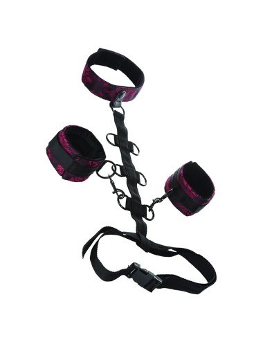 CALEXOTICS - SCANDAL COMPORAL SUPPORT WITH NECK