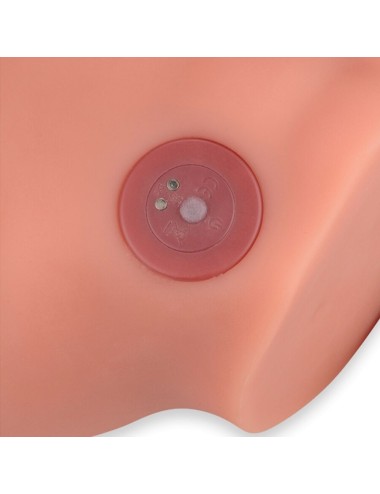 XISE - FREDERICO MASTURBADOR REALISTIC DILDO FRONT POSITION WITH THRUSTING 15 CM