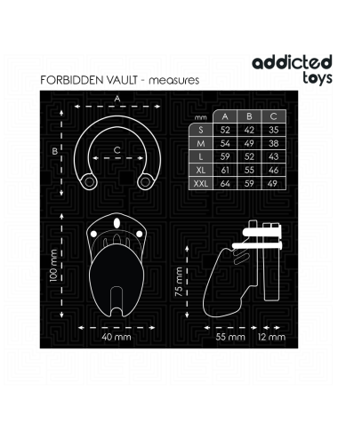 ADDICTED TOYS LOCKED - FORBIDDEN VAULT PENIS CAGE 10 CM