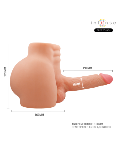 INTENSE DEEP TOUCH - RICHIE TORSO WITH ANUS AND REALISTIC DILDO WITH PUSHING AND VIBRATION REMOTE CONTROL 4.7 KG