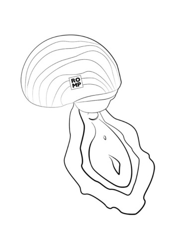 ROMP - SPIN CLITORAL SUCTION ANTITUDE WITH ROTATING OPENING AND CLOSING